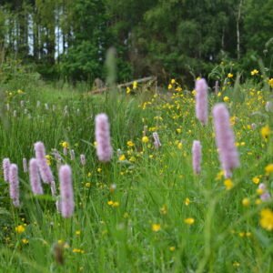 Landschapsborderbox Noord-Nederlands wadden- en duinlandschap