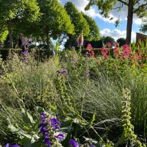 Landschapsborderbox Midden-Nederlands rivierenlandschap
